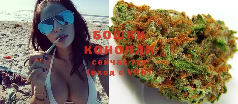 как найти закладки  Бологое  Бошки марихуана White Widow 